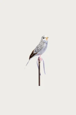 Budgie - Gray
