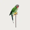 Green Parrot