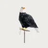 Large Eagle