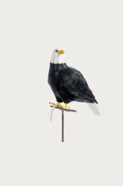Large Eagle