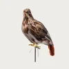 Large Hawk